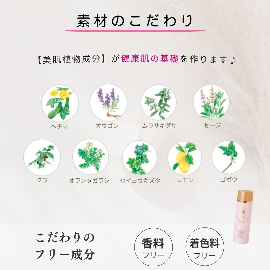 ビーバンジョア 弱酸性プランローション 314 120ml 3個 弱酸性プランローション ジョアエコ314｜VIVANT JOIE