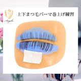 Angelic マツエク 練習用 人毛まつ毛 ストレート つけまつげ まつ毛エクステ商材